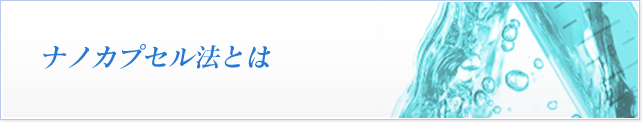 ナノカプセル法とは